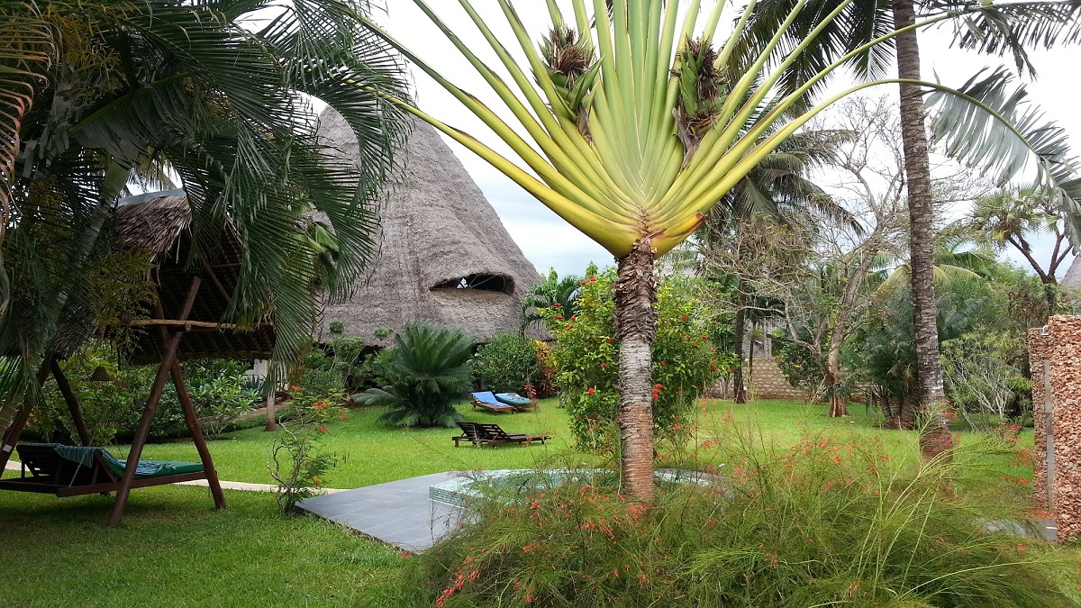 Blick vom Palmengarten auf das Ferienhaus
