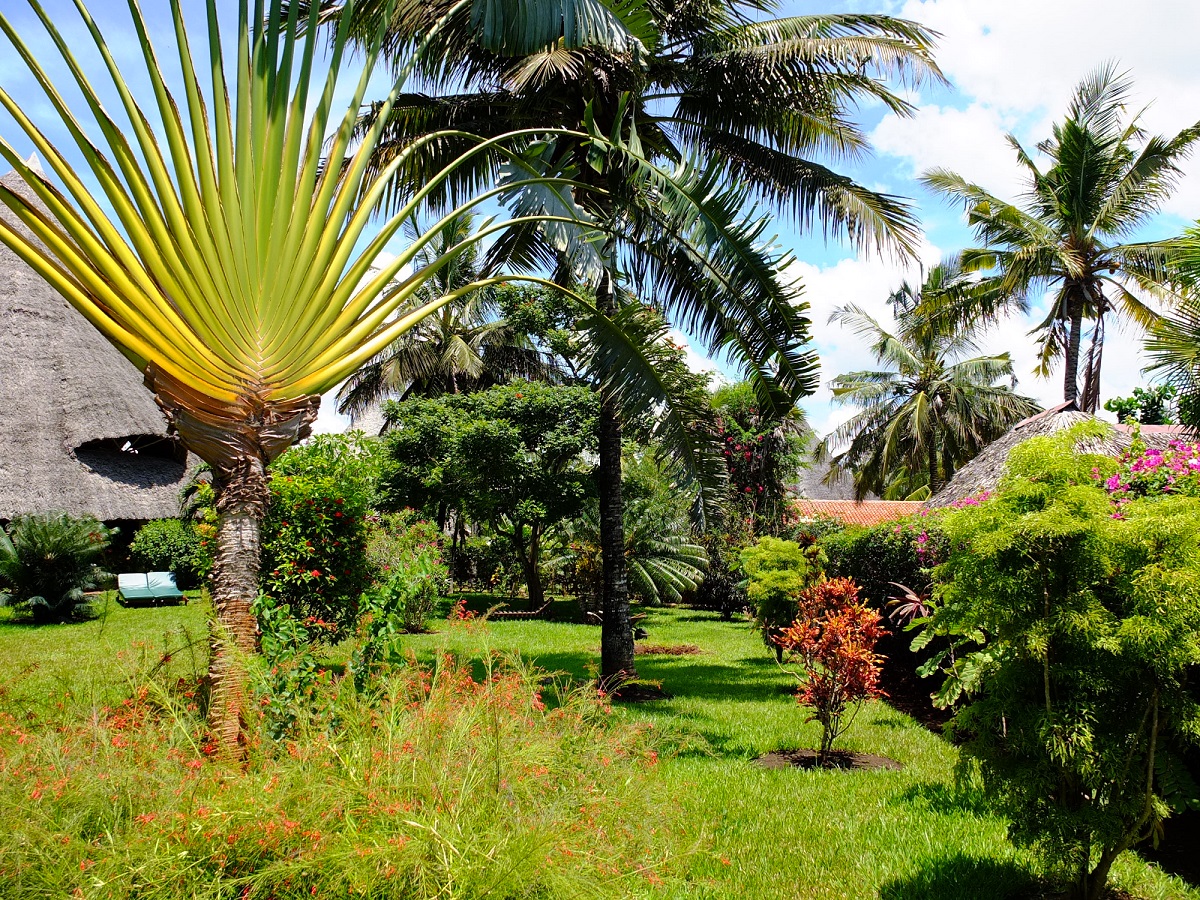 Tropischer Garten Villa Soleil